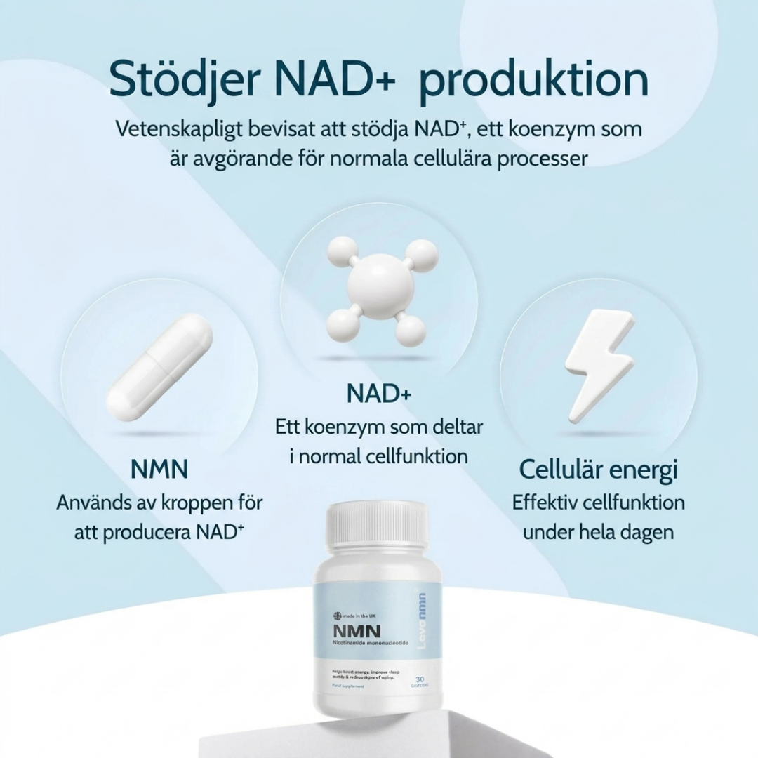 Levanmn | Rent NMN | 500mg Kapslar