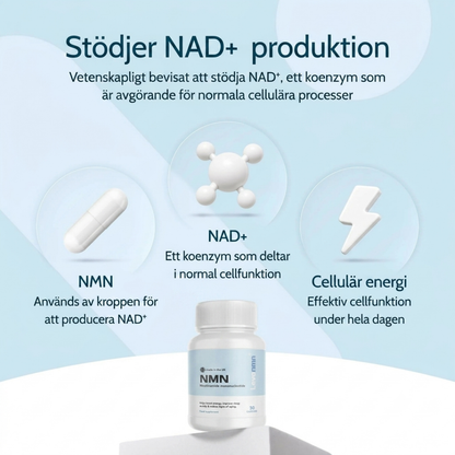 Levanmn | Rent NMN | 500mg Kapslar